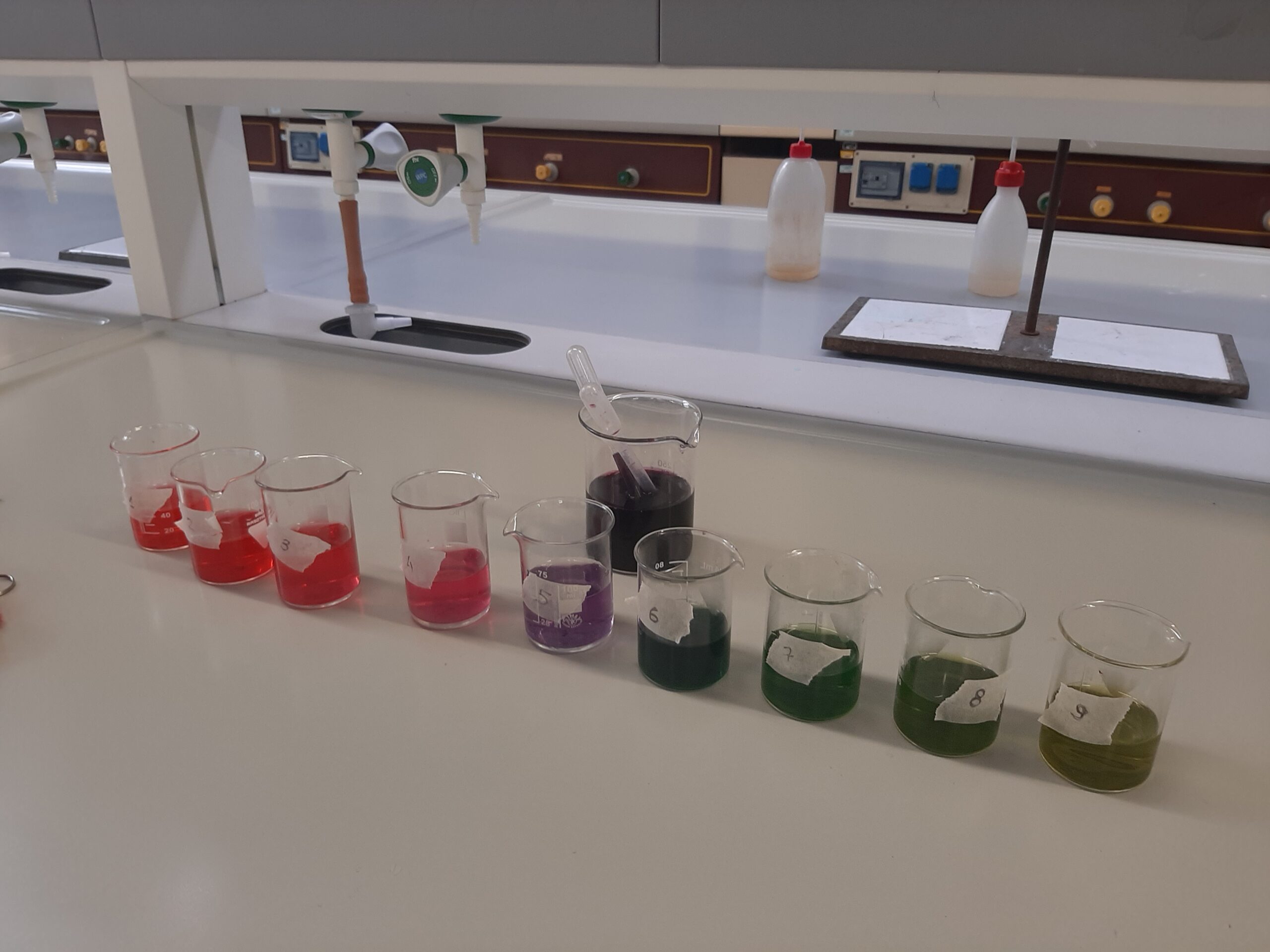 UN GIORNO DA GRANDI CHIMICI