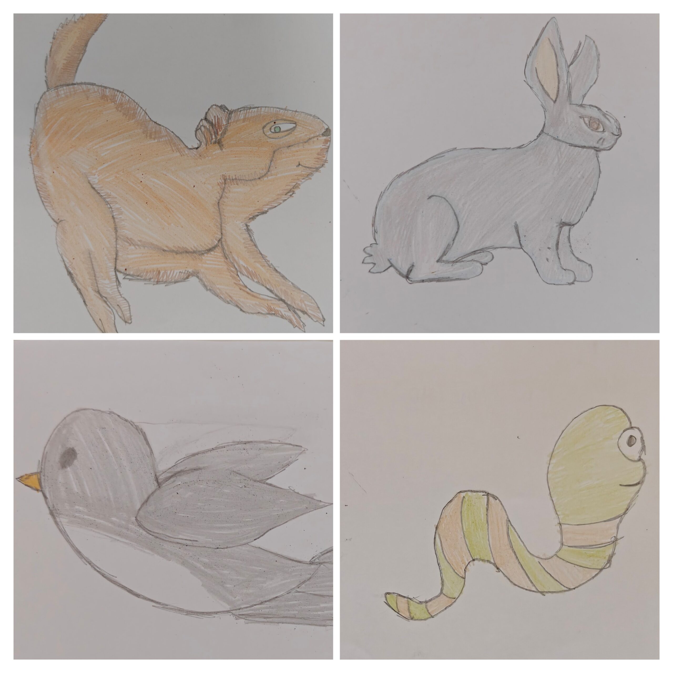 I Quattro amici animali alla Rodari