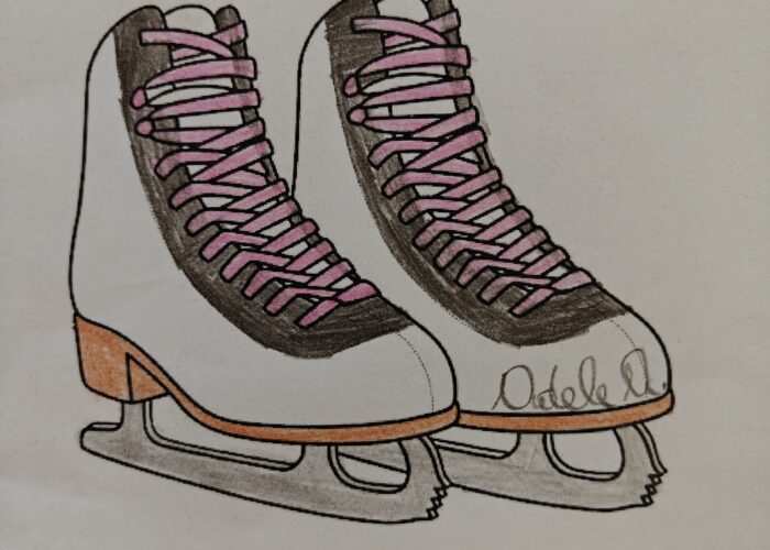 Pattinaggio che passione!