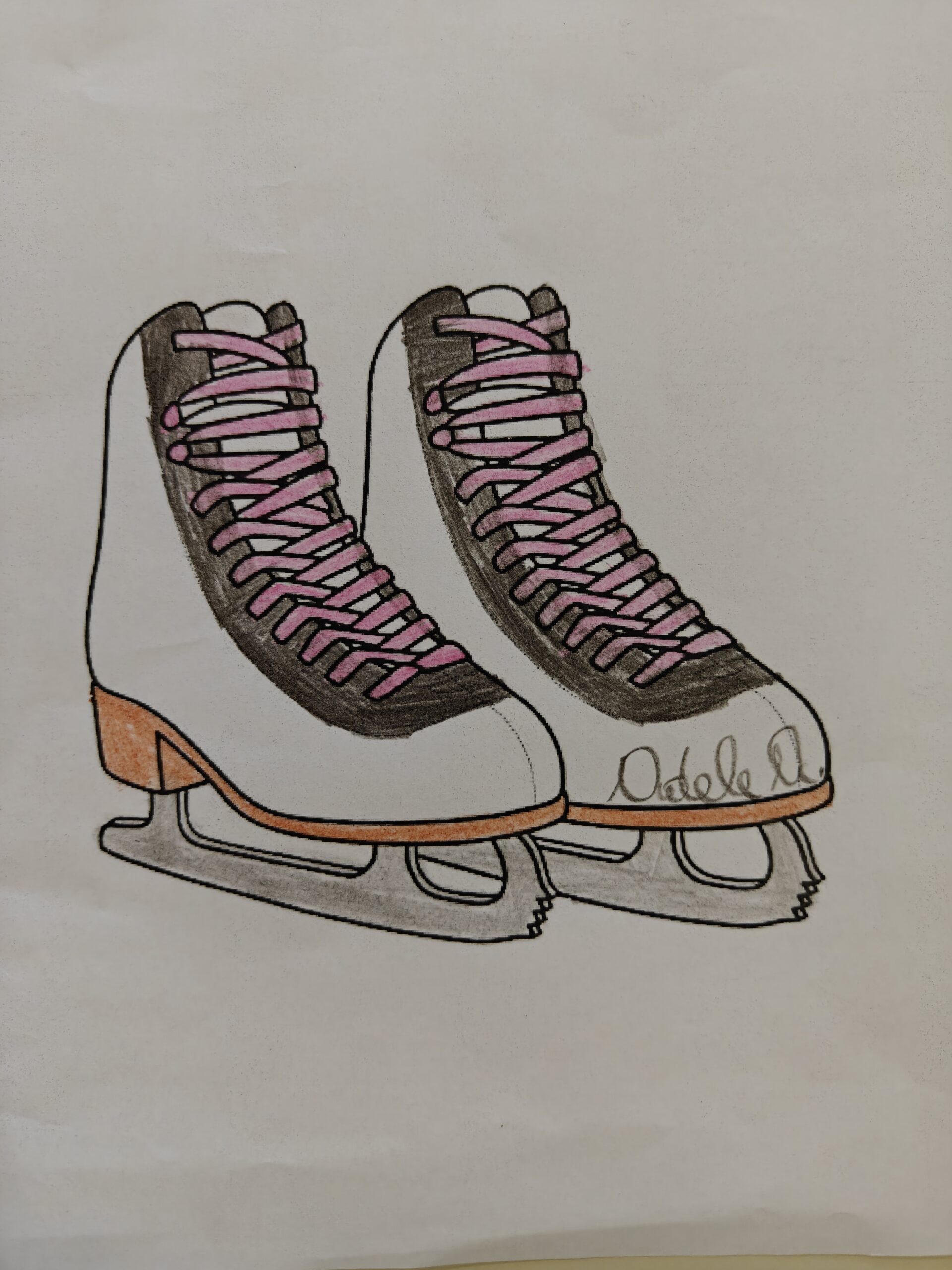 Pattinaggio che passione!