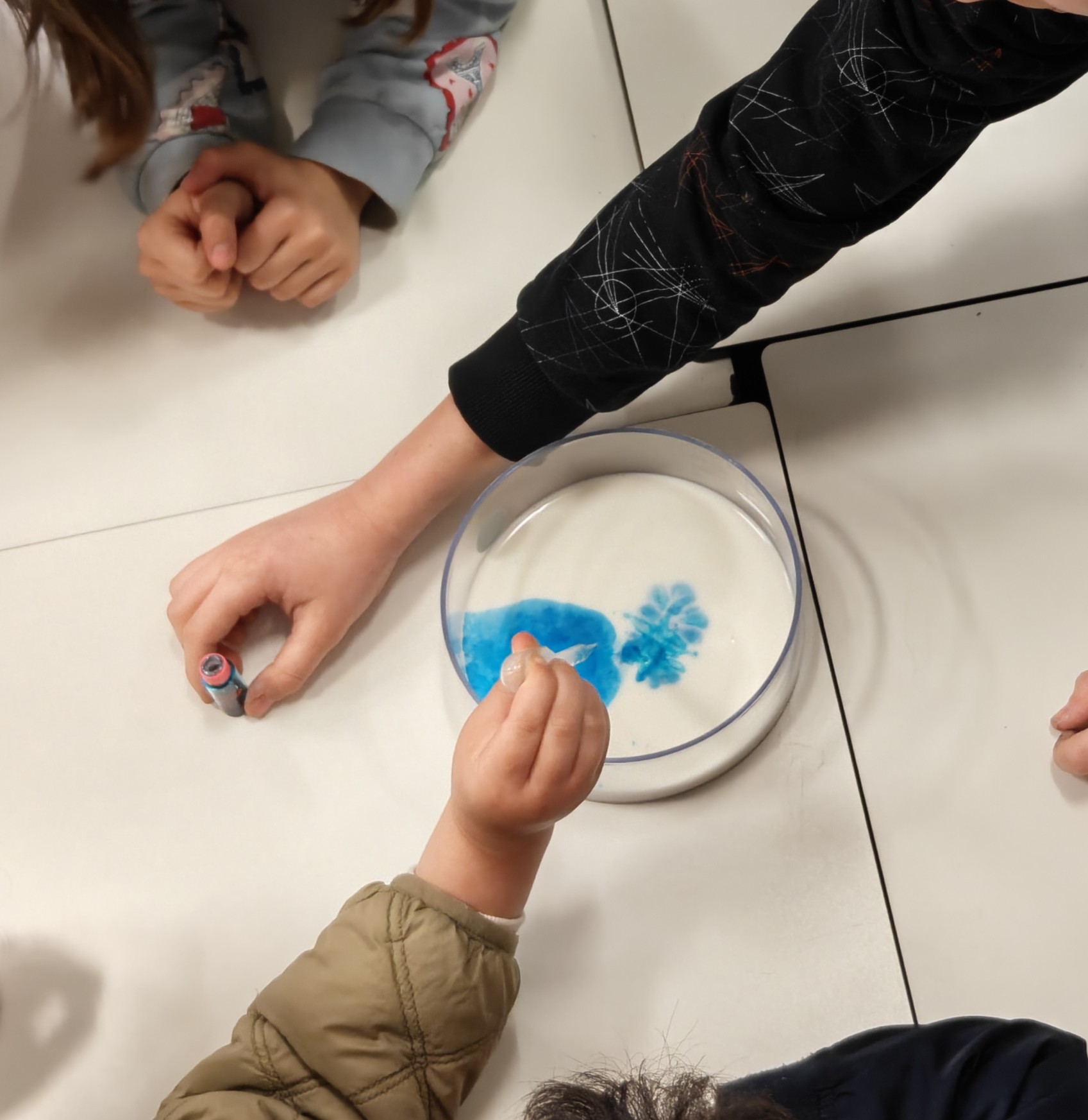 Gli alunni di quinta e di prima sperimentano in allegria!